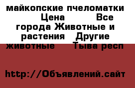  майкопские пчеломатки F-1  › Цена ­ 800 - Все города Животные и растения » Другие животные   . Тыва респ.